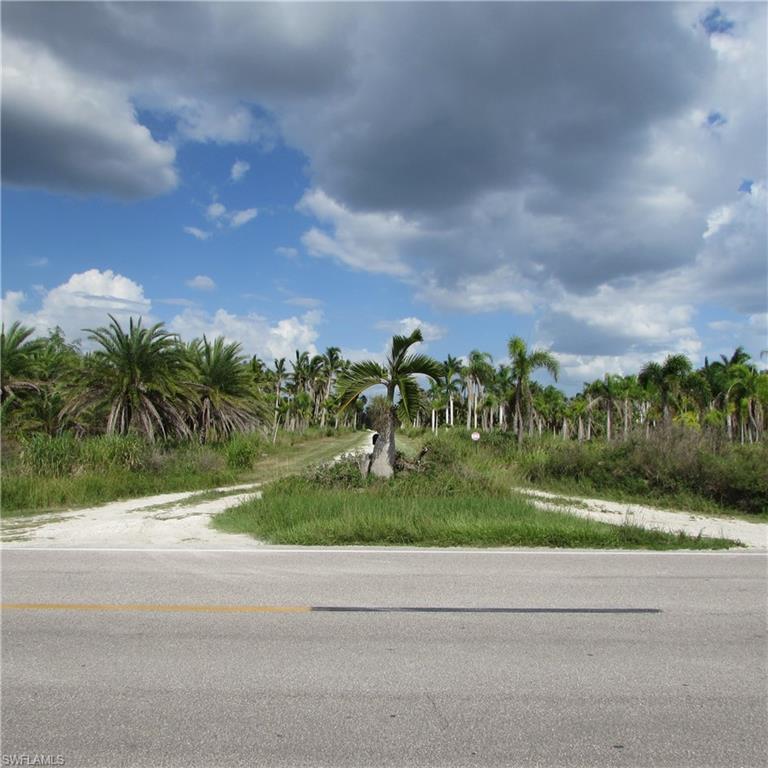 KREAMERS AVOCADO SUBD - Land