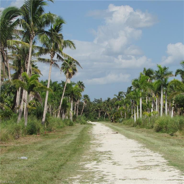 KREAMERS AVOCADO SUBD - Land