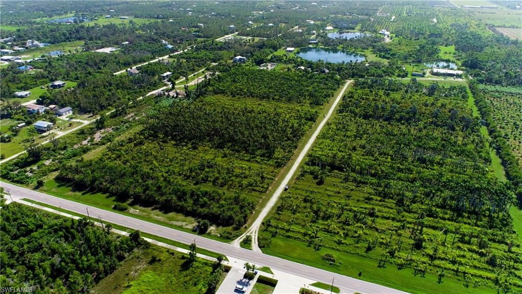 KREAMERS AVOCADO SUBD - Land