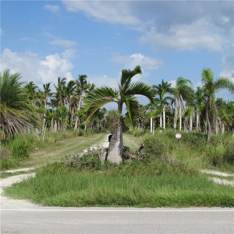 KREAMERS AVOCADO SUBD - Land