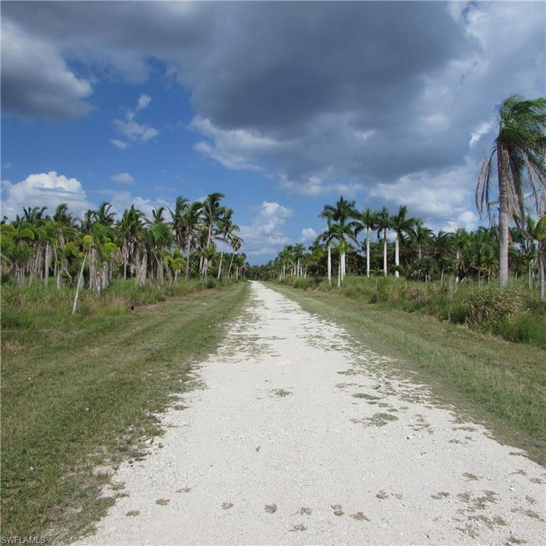 KREAMERS AVOCADO SUBD - Land