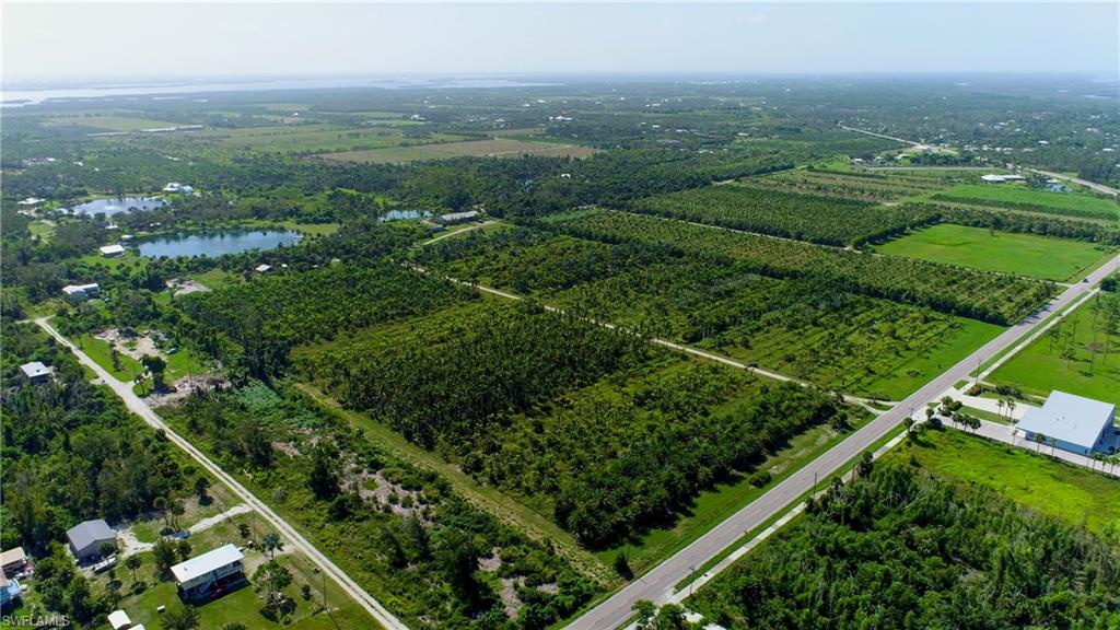 KREAMERS AVOCADO SUBD - Land