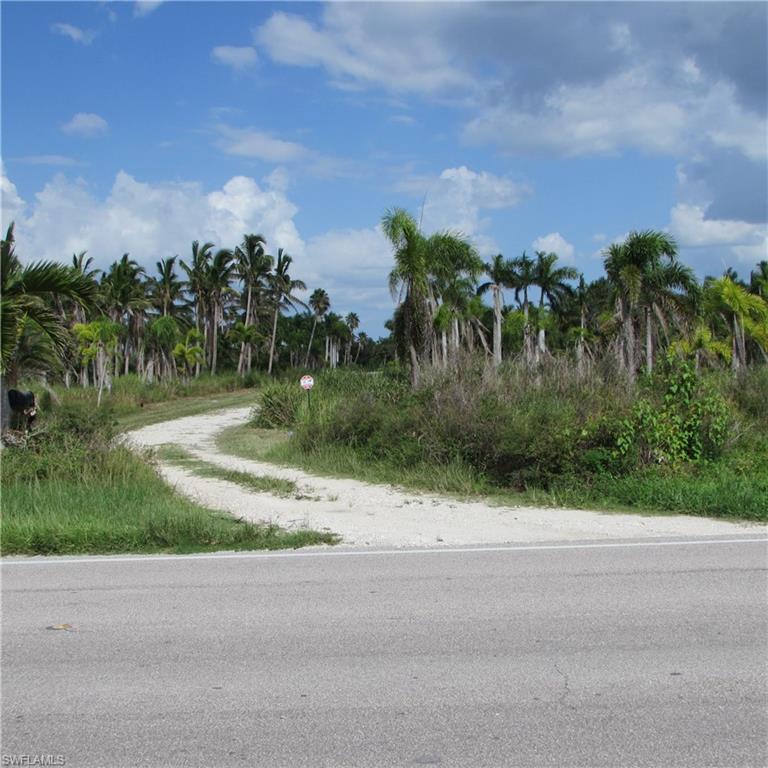 KREAMERS AVOCADO SUBD - Land