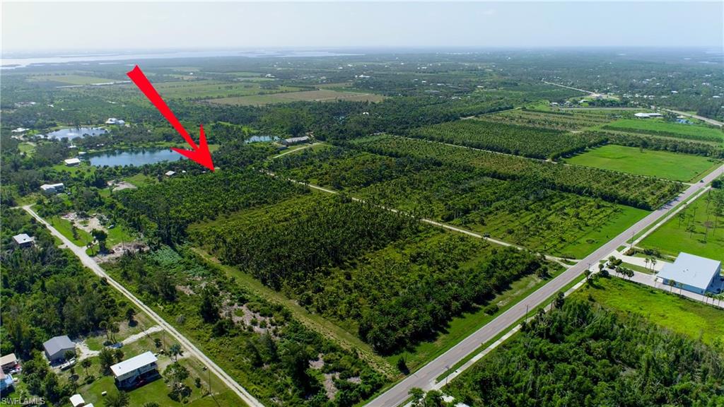 KREAMERS AVOCADO SUBD - Land