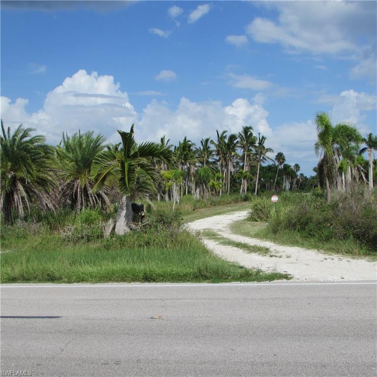 KREAMERS AVOCADO SUBD - Land