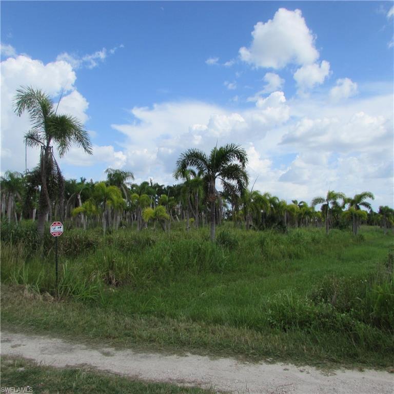 KREAMERS AVOCADO SUBD - Land