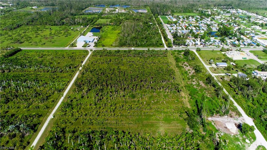 KREAMERS AVOCADO SUBD - Land