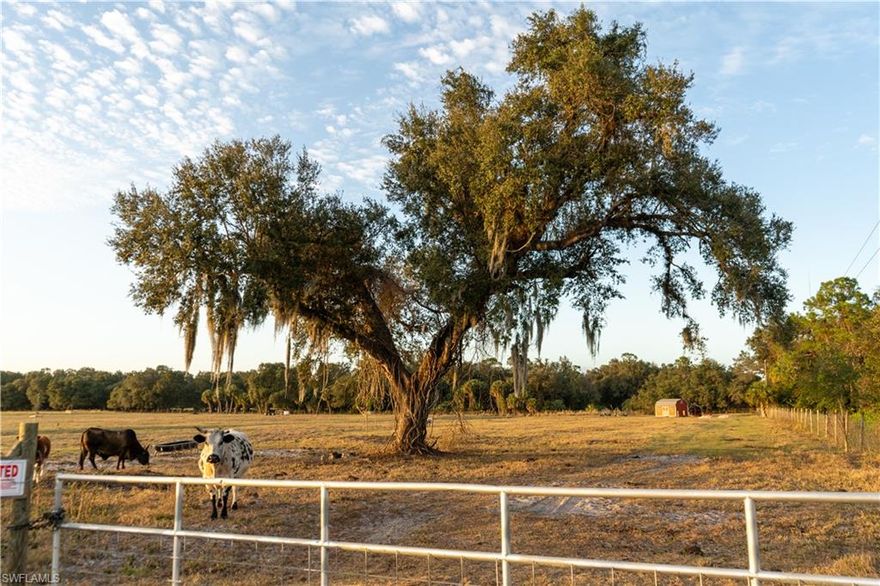 Tucked away at the quiet end of a dead-end road in the highly sought-after Fort Denaud area, this exceptional 10-acre tract offers a rare blend of privacy, beauty, and opportunity. Zoned Ag-2 and currently under an active cattle lease, the property is perfectly suited for a dream mini-ranch, allowing room to garden, farm, and raise animals while enjoying the peaceful rural lifestyle.

The land is fully fenced and features two gated entrances, creating a sense of arrival and security. A scenic oak tree welcomes you at the private entry, setting the tone for the natural beauty found throughout the property. Over 9 acres are located in an “X” flood zone, requiring no flood insurance, with only a small portion affected by an old creek bed.

Infrastructure is already in place, including a 4-inch deep water well installed by Crumb’s Well Drilling, currently solar powered and easily convertible to residential use with an electric drop. A 10x20 shed, newly added in 2024, provides immediate storage or workspace.

Located in a prime area of west Hendry County near the Lee/Hendry County line on CR 78, the surrounding community is known for high-end homes and estate properties. This particular tract stands out for its combination of usable acreage, privacy, and scenic setting. Soil and wetland reports are available, adding confidence and clarity for future plans.