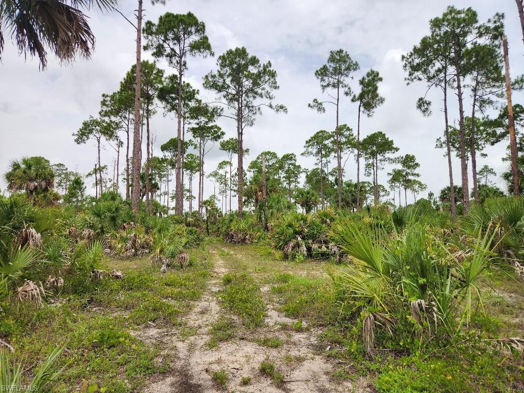 NOT APPLICABLE - Land