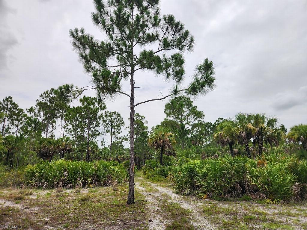 NOT APPLICABLE - Land