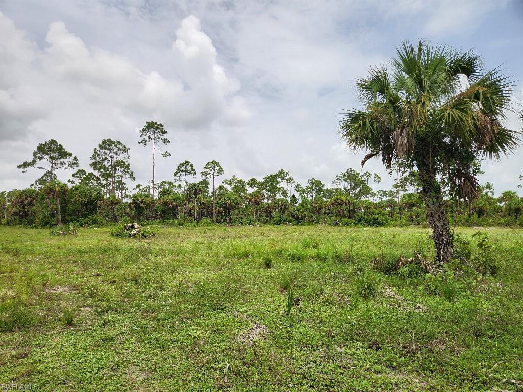 NOT APPLICABLE - Land