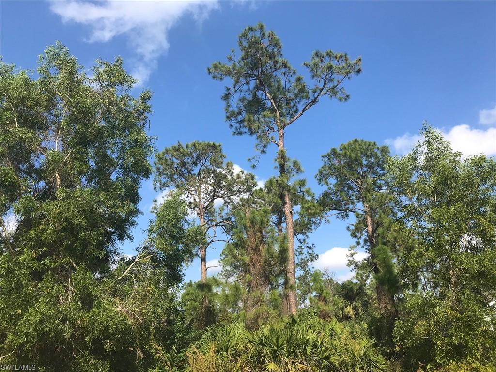 GOLDEN GATE ESTATES - Land