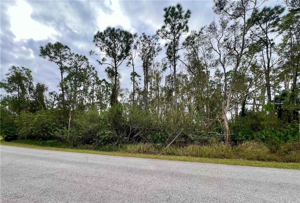 TROPICAL GULF ACRES - Land