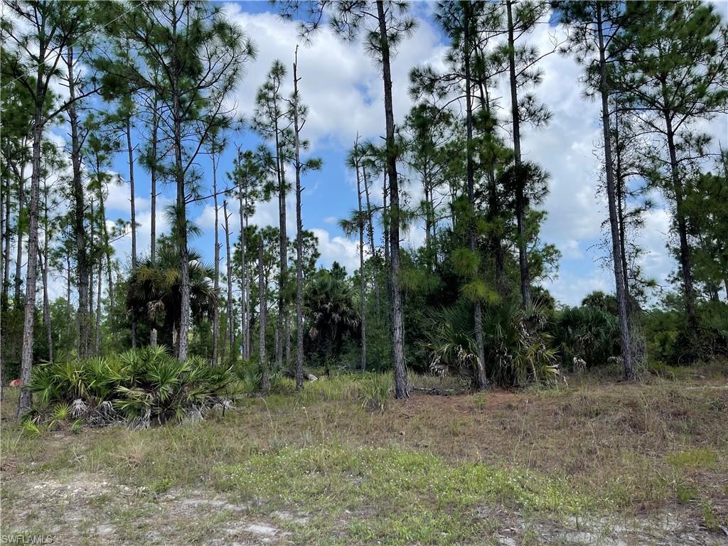 SOUTHEAST LEHIGH - Land