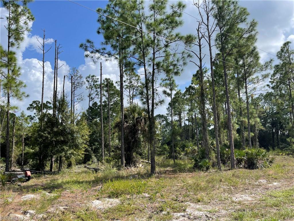 SOUTHEAST LEHIGH - Land