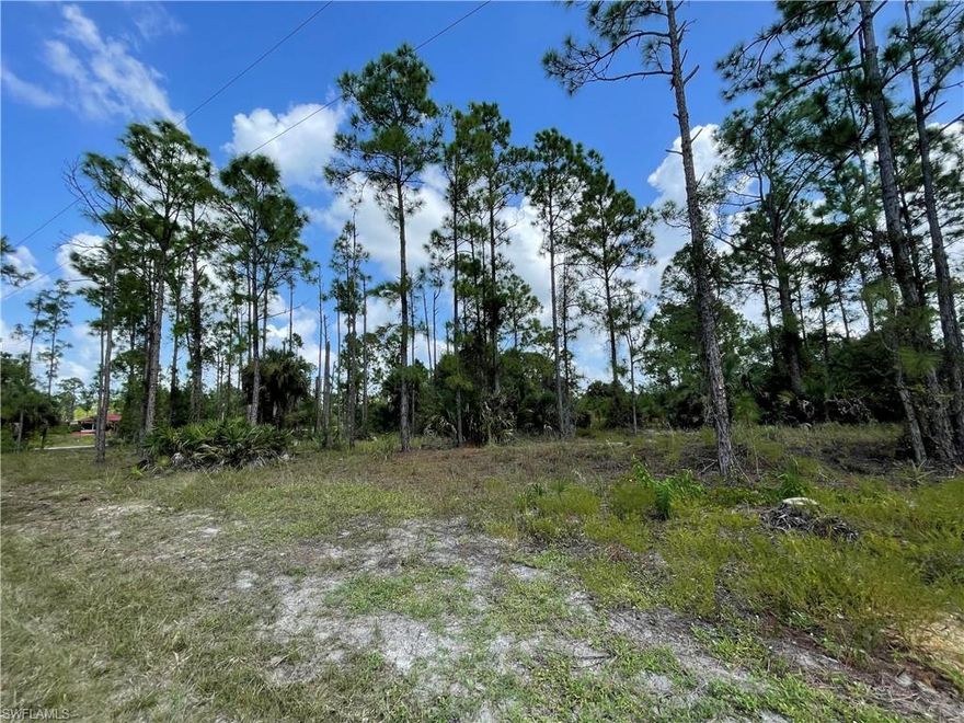 Located in quiet Lehigh Acres, this is an amazing opportunity to build your forever home. You will enjoy the close proximity this location has to offer with convenient access to local shopping, Fort Myers Airport and only miles away from the beautiful white sand beaches of South West Florida!   

This lot is being sold as 2 lots with another parcel next to it. Lots must be sold together. Please see MLS#221071113