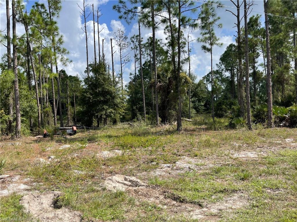 SOUTHEAST LEHIGH - Land