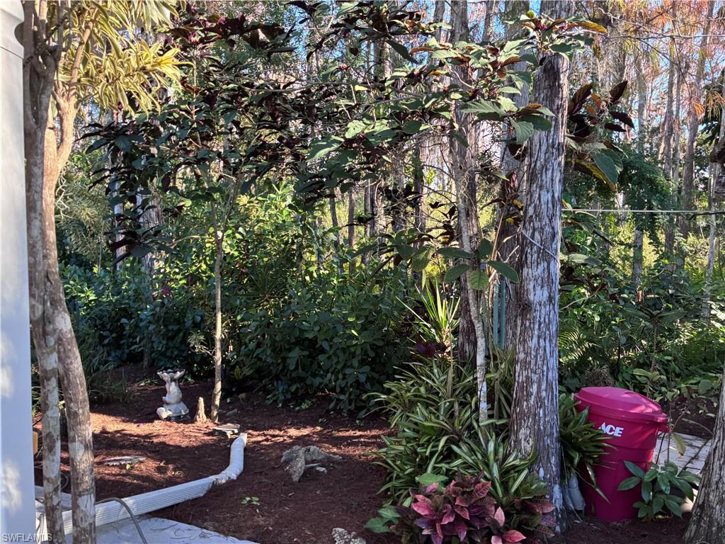 ISLAND CLUB AT CORKSCREW - Residential