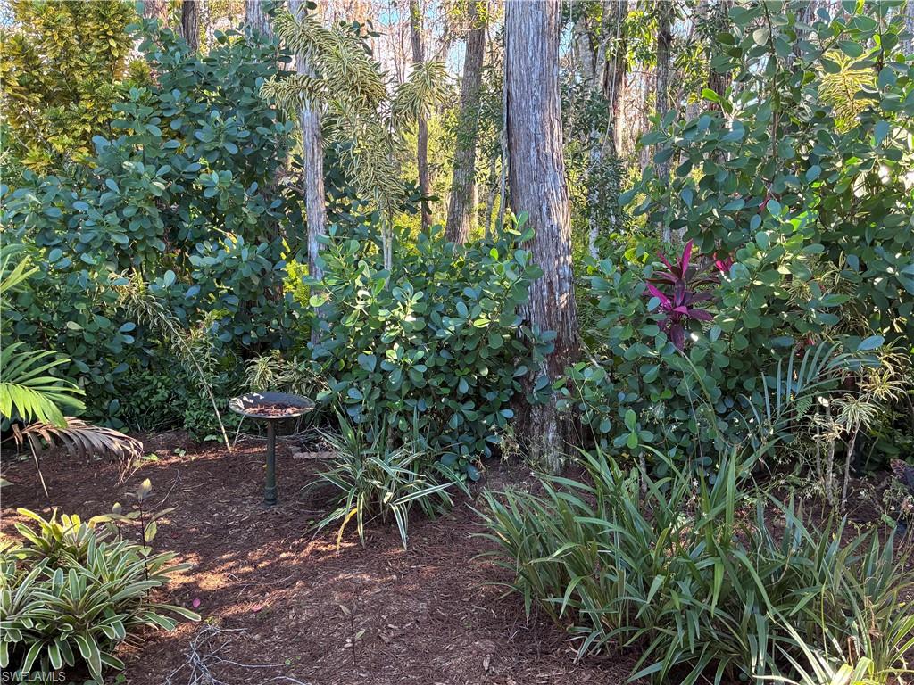 ISLAND CLUB AT CORKSCREW - Residential