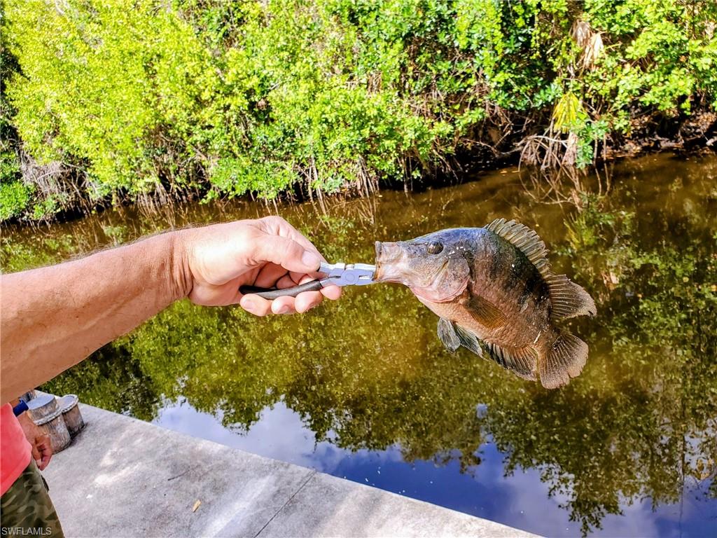 PORT EDISON - Residential
