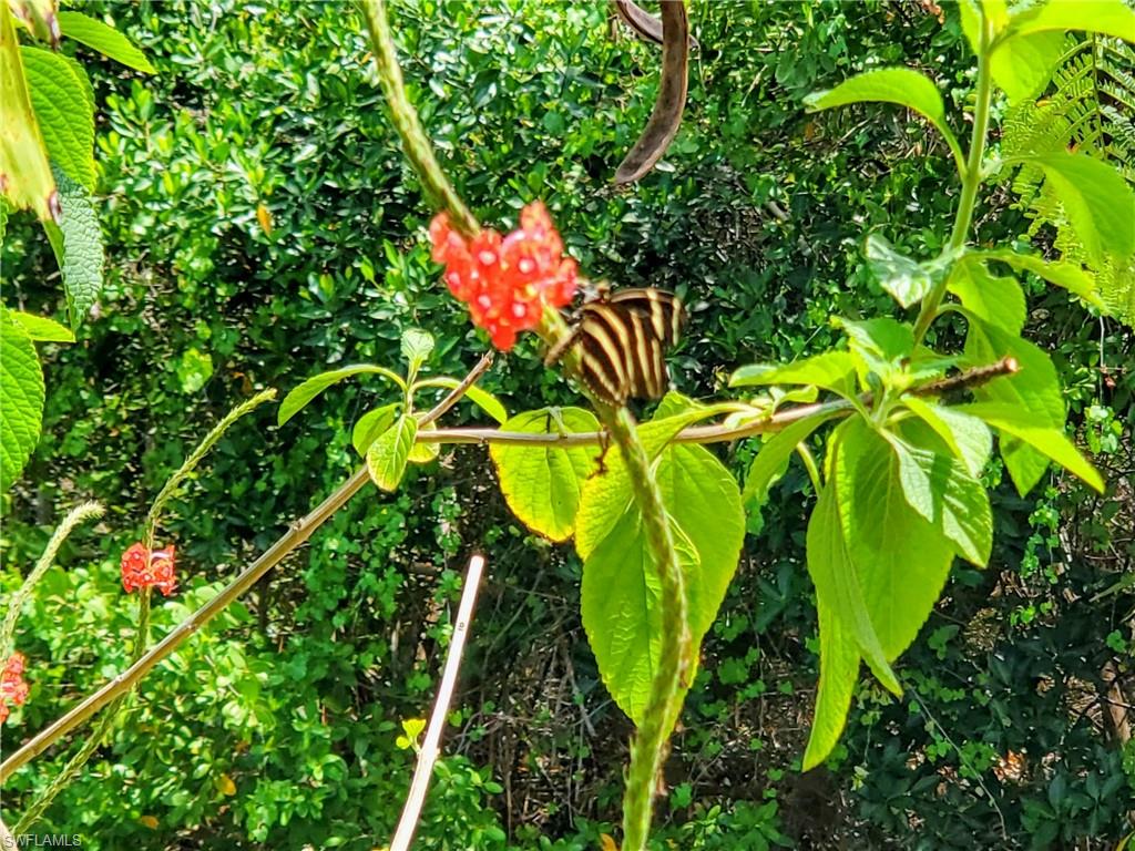 PORT EDISON - Residential