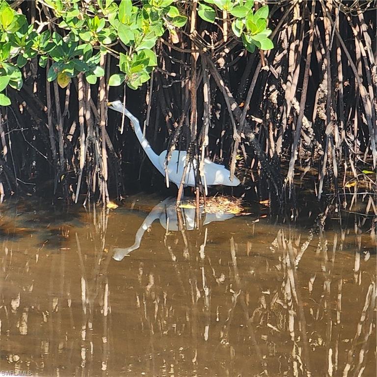 PORT EDISON - Residential