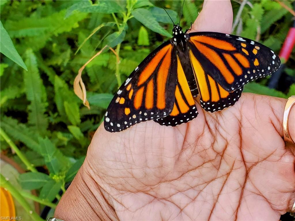 PORT EDISON - Residential