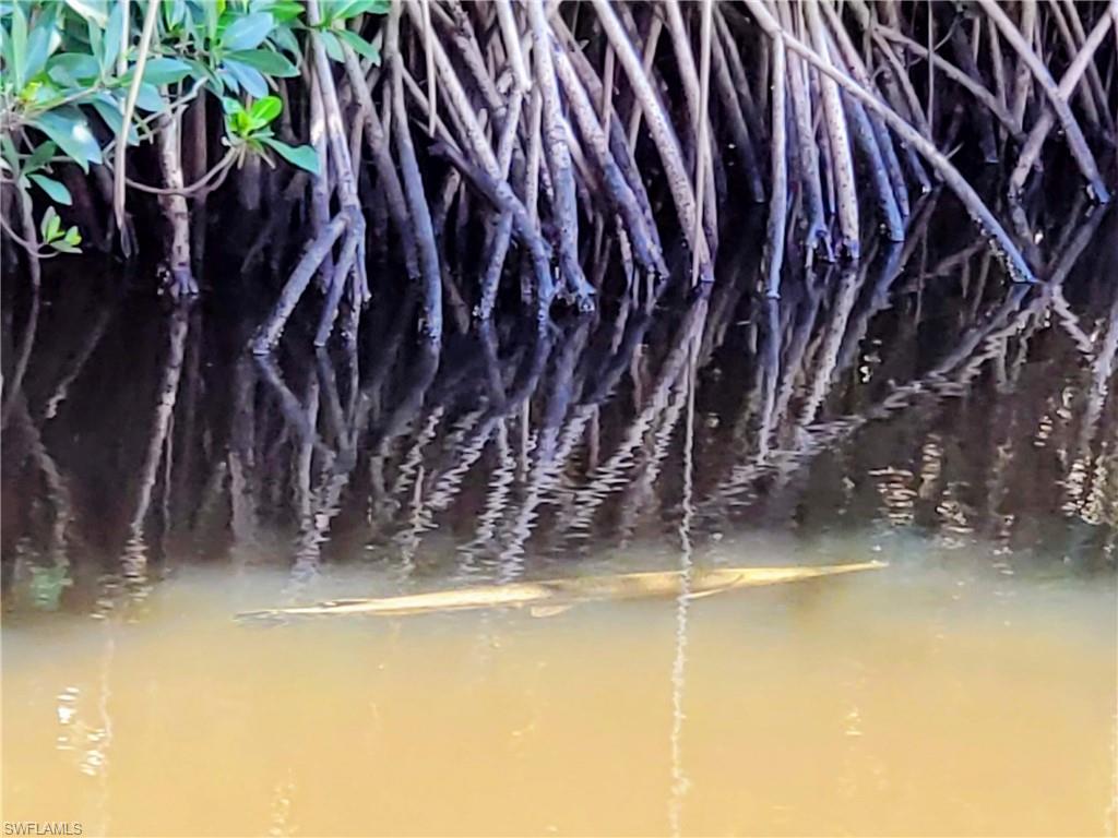 PORT EDISON - Residential