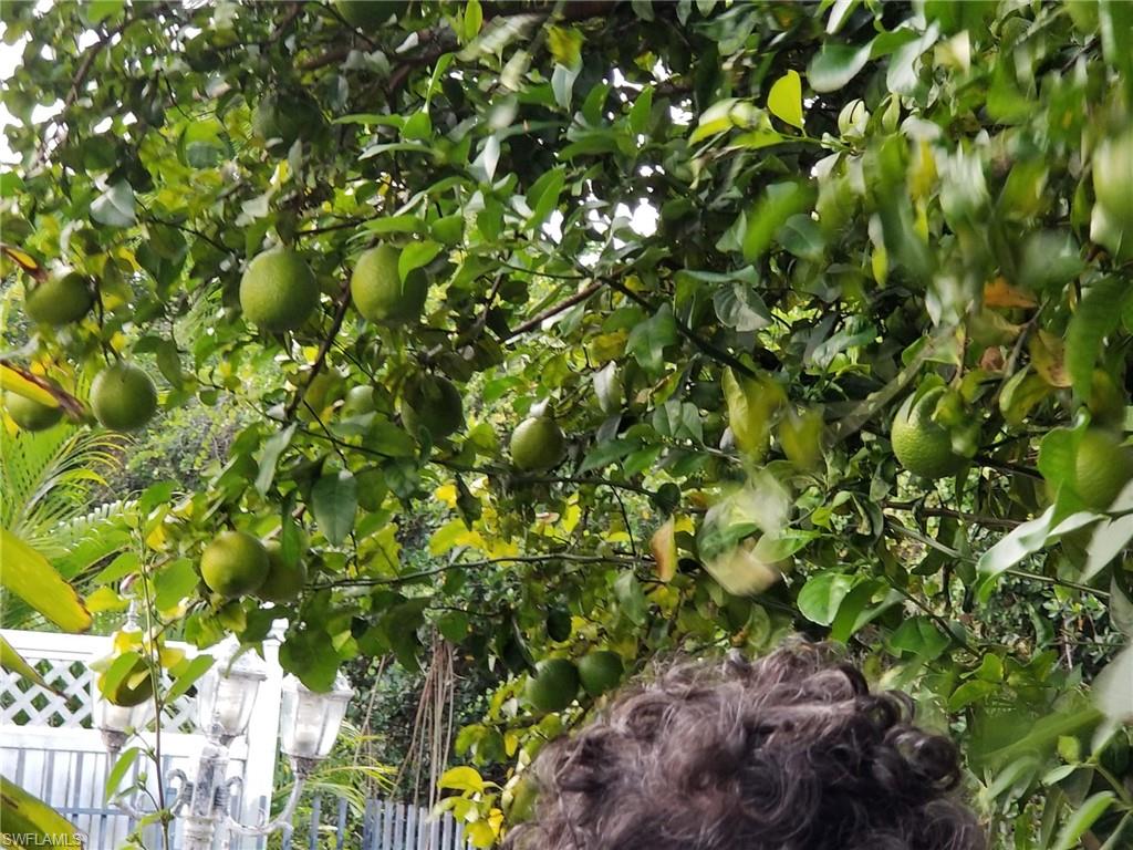 PORT EDISON - Residential