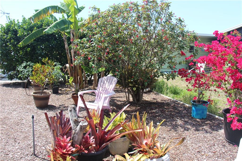 PINE ISLAND COVE - Residential