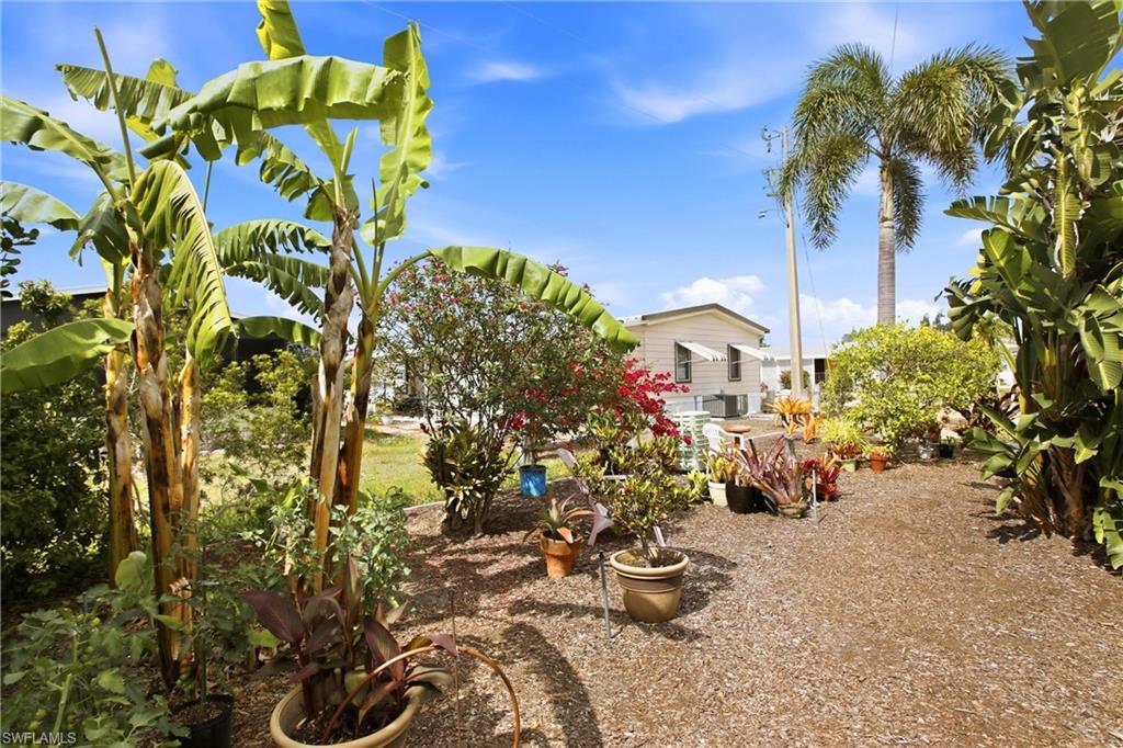 PINE ISLAND COVE - Residential