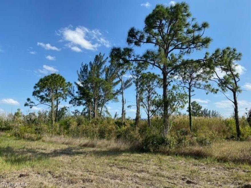 Water front Industrial lot zoned IG in the Pine Island Industrial Park. Great location With a lake on the back (east) side of the lot. Not many vacant lots left... Great opportunity for investment, or build your industrial business !!! take a look today !  $20,000 fill allowance!!!