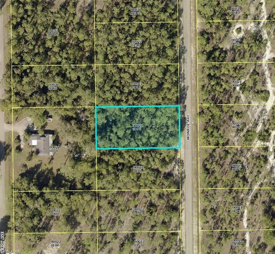 Beautiful .50-acre lot in Lehigh Acres, zoned for a single-family residential. Great opportunity to own your own piece of paradise in Southwest, Florida, while prices still affordable. Adjacent lot 113 Monroe also available.