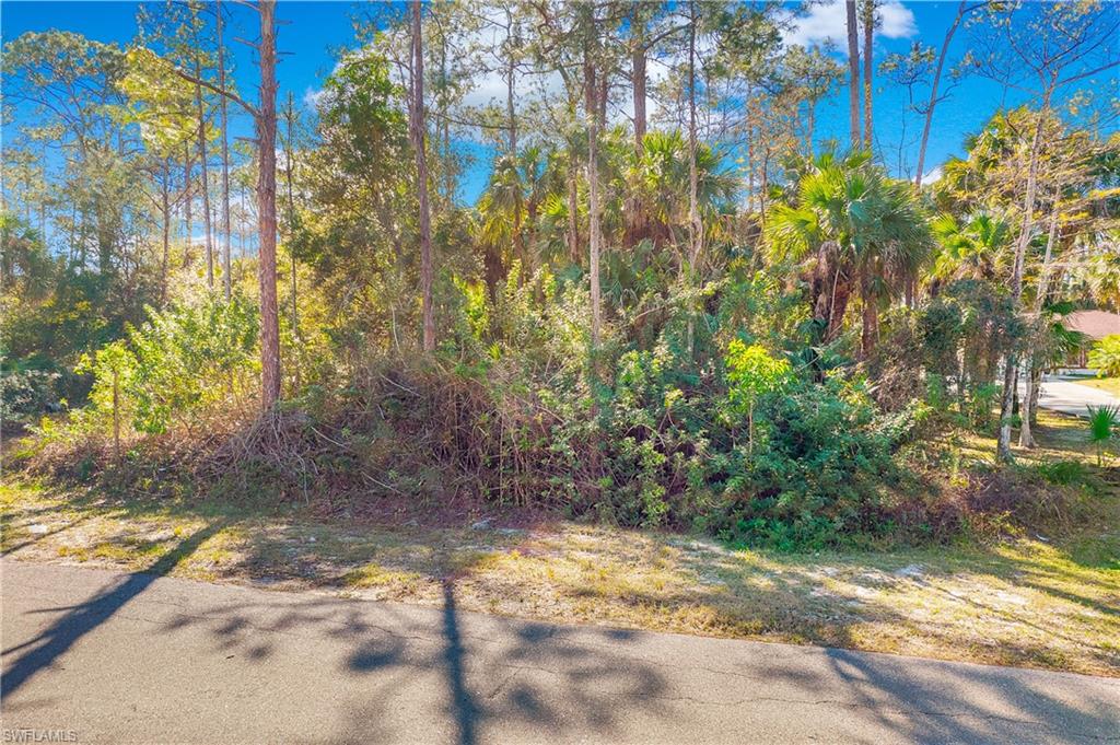 GOLDEN GATE ESTATES - Land