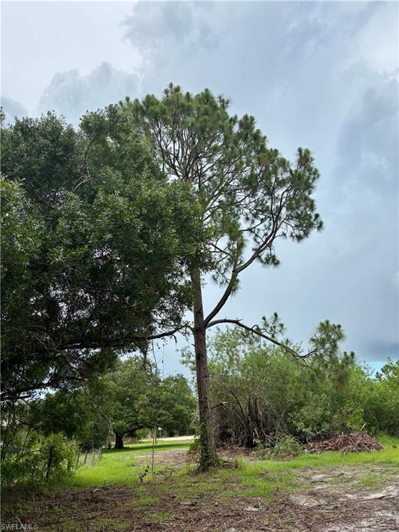 PIONEER PLANTATION - Land