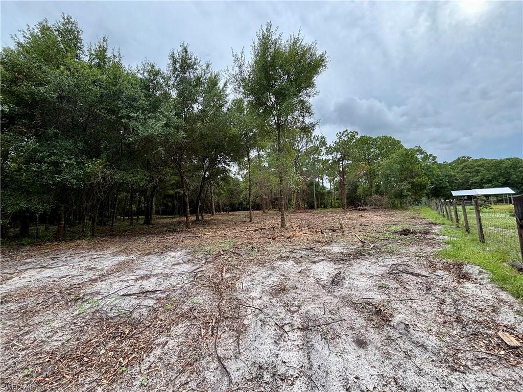 PIONEER PLANTATION - Land