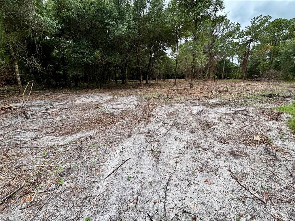 PIONEER PLANTATION - Land