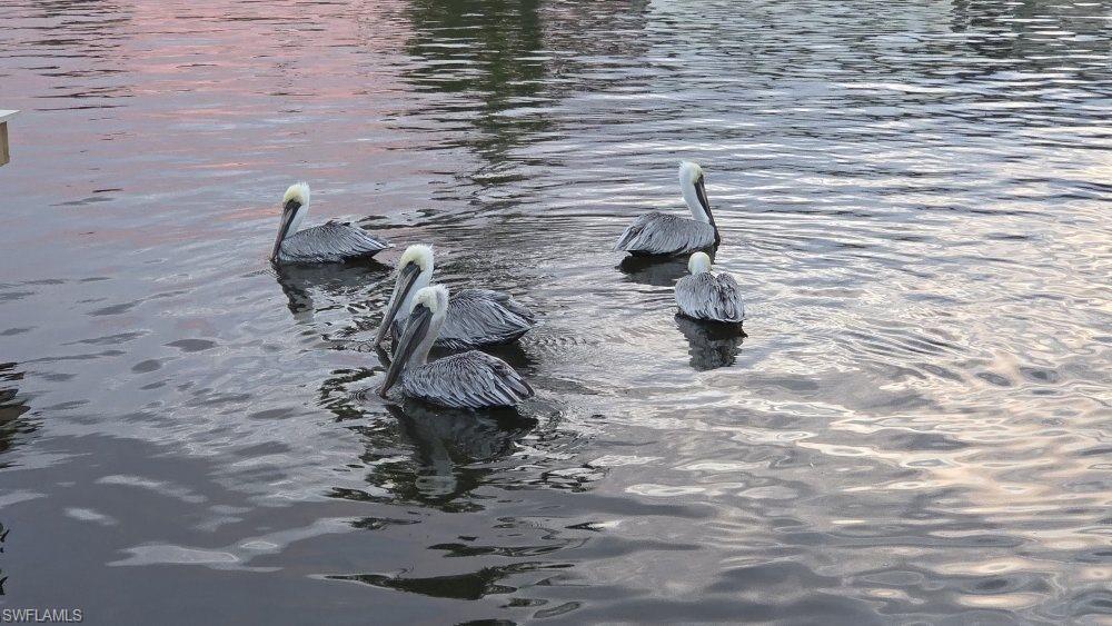 BUCCANEER INN CONDO - Residential