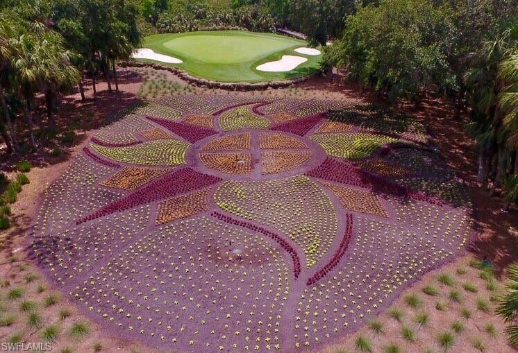 QUAIL WEST - Residential