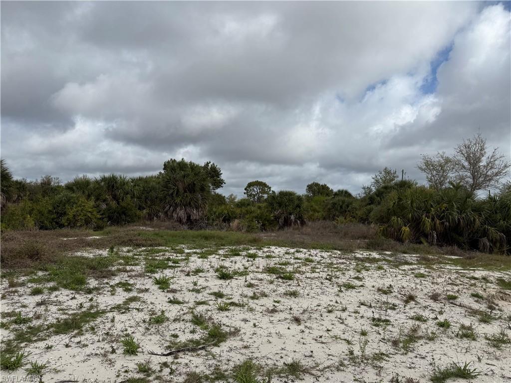 PORT CHARLOTTE - Land