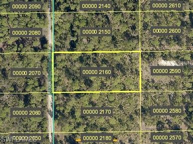 KREAMERS AVOCADO SUBD - Land