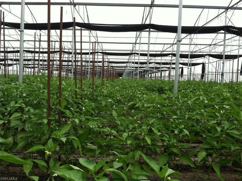 GOLDEN GATE ESTATES - Land