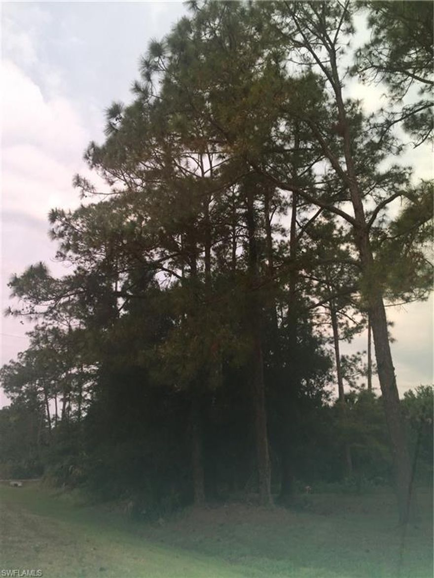 100% uplands with DEP. Just west of the house at 3361 40th Ave. SE. Pines and Palms.