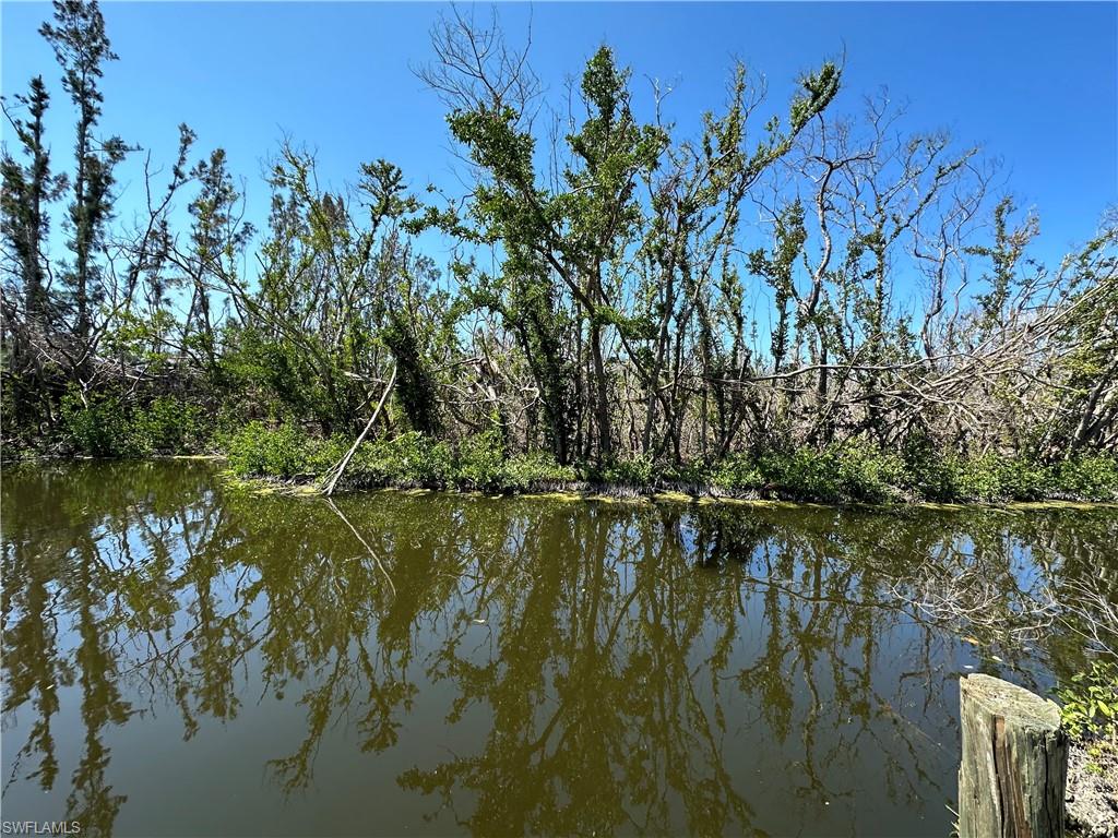 PINE ISLAND COVE - Land