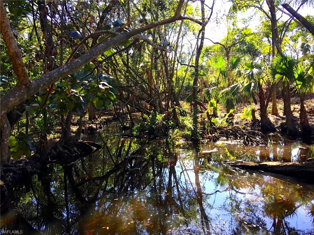 COCONUT CREEK - Land