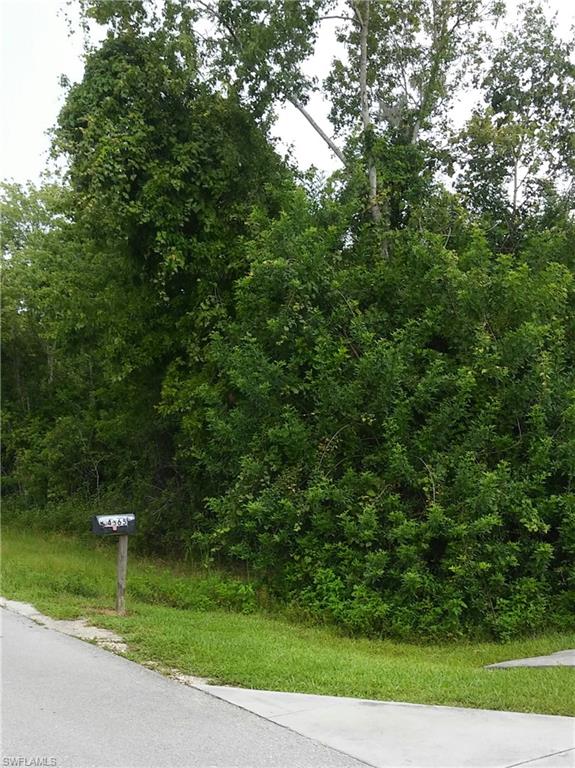 GOLDEN GATE ESTATES - Land