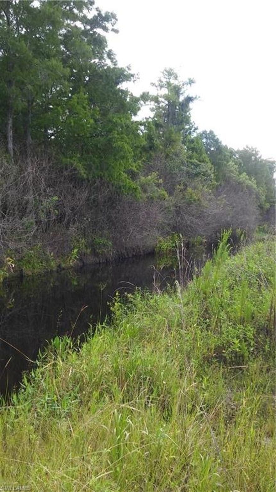 Location, location, location! Located at 45th Avenue NE and Wilson Blvd. 0.07 mile to Immokalee Road, 1.2 mile from fire, sheriff, ambulance. 3.2 mile to Publix on Immokalee Road. On canal.