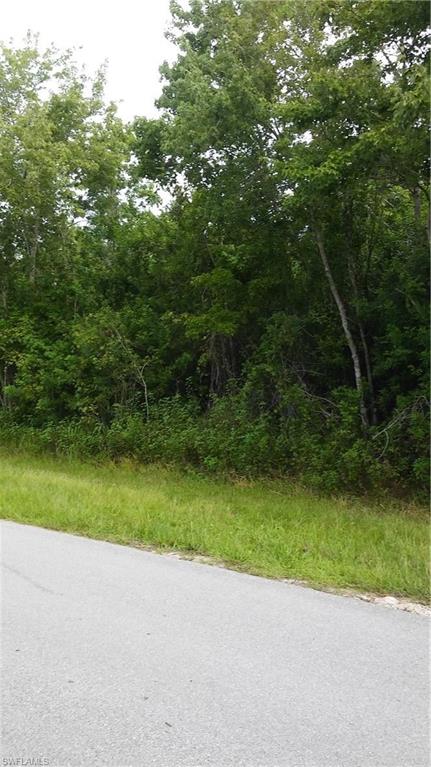 GOLDEN GATE ESTATES - Land