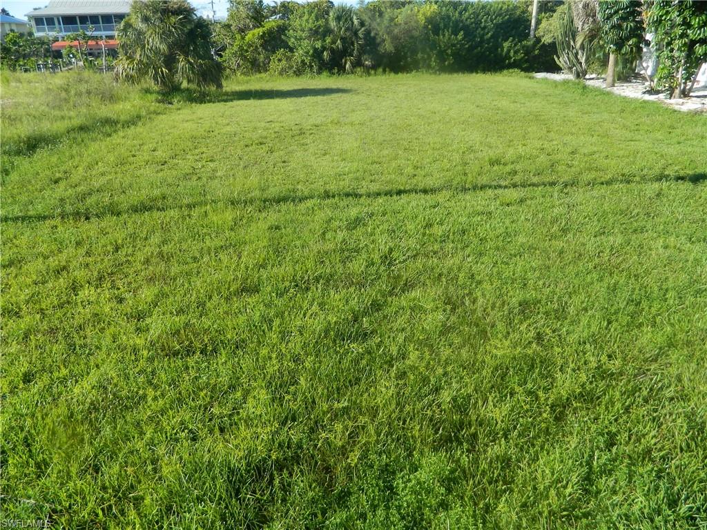 PINE ISLAND CENTER - Land