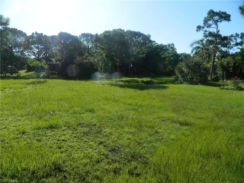 PINE ISLAND CENTER - Land